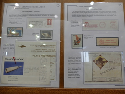 62ème CONGRE & CHAMPIONNAT REGIONAUX  - MONTPELLIER